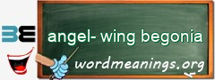 WordMeaning blackboard for angel-wing begonia